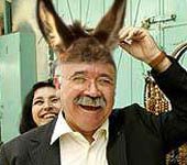 138 eixemplar de burro catala