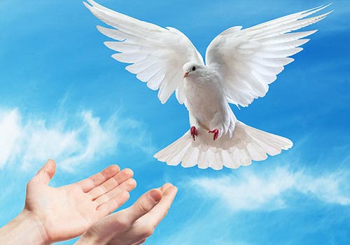 recibiendo-el-espiritu-santo