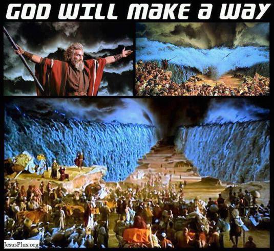 432088_405578706227943_520171708_n